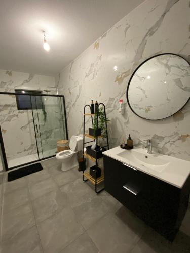 a bathroom with a sink and a toilet and a mirror at Meira House in Belinho