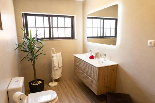 a bathroom with a sink and a toilet and a mirror at Quarto em Viana do Castelo in Viana do Castelo
