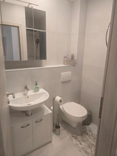 a white bathroom with a toilet and a sink at La Piccola Italia in Deggingen