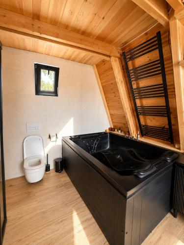 a bathroom with a black sink and a toilet at Jugoslavija Chalet and Spa Zabljak in Tepačko Polje