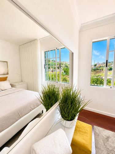 a bedroom with a bed and two potted plants at Casa Conduto in Ponta do Sol