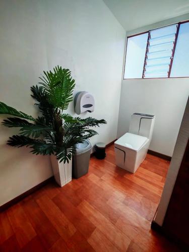 a bathroom with a toilet and a potted plant at Titicaca Star Perú in Puno