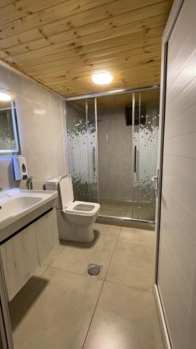 a bathroom with a toilet and a shower and a sink at Sadeel chalet in Kerak
