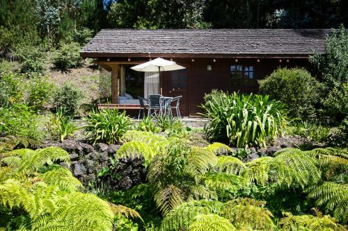a small cabin with an umbrella in a garden at Cabañas Playa Linda in Pucón