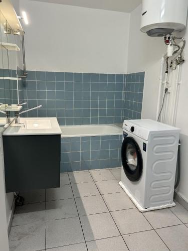 a washing machine in a bathroom next to a sink at Le Palm Loft in Pointe-à-Pitre