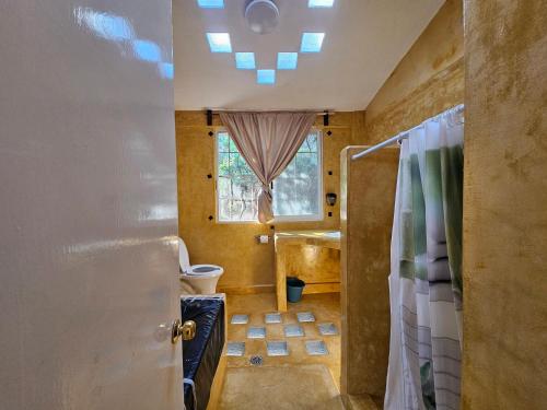 a bathroom with a shower and a toilet and a window at Casa Amarilla in Barrio Nuevo