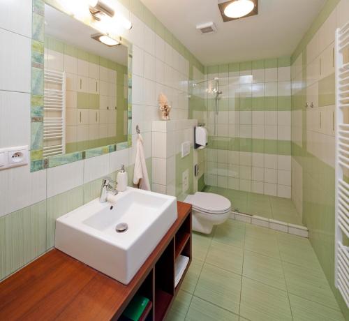 a bathroom with a sink and a toilet at Holiday Park Orava Apartments in Dolný Kubín