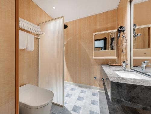 a bathroom with a toilet and a sink at Tangshan Yipin Hot Spring Hotel in Nanjing