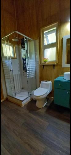 a bathroom with a toilet and a shower and a sink at Entre Bosque Puelo in Puelo
