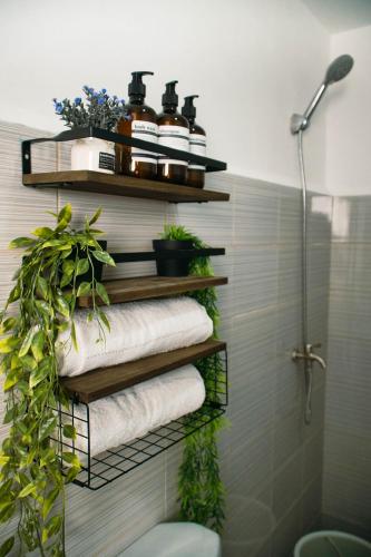 a bathroom with a rack with towels and plants at Casa Marelle in Lapu Lapu City