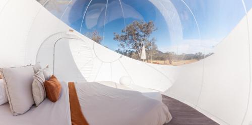 a bedroom with a white bed in a tent at Captain Thunderbolt Bubbletent at Mirumiru in Tenterfield
