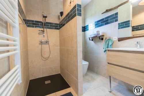 a bathroom with a shower and a toilet and a sink at Gîte des petites pyrénées in Ausseing