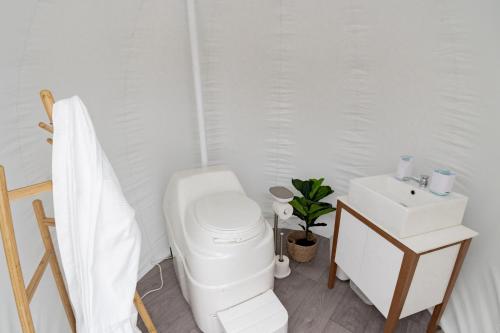 a white bathroom with a toilet and a sink at Captain Moonlite Bubbletent at Mirumiru in Tenterfield