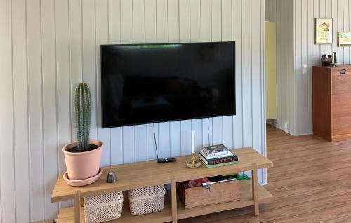 a living room with a tv and a cactus on a table at 2 Bedroom Stunning Home In Vordingborg in Vordingborg
