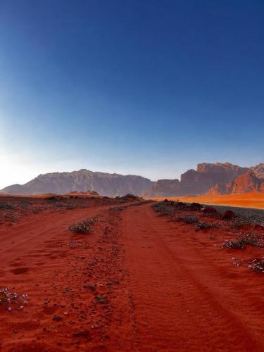 a dirt road in the desert with mountains in the background at Wadi Rum Bedouin Heart in Wadi Rum