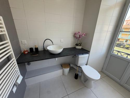 a bathroom with a sink and a toilet at Entre Rivière et Sommets in Seix