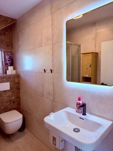 a bathroom with a sink and a toilet and a mirror at Parkside Apartments Rust in Rust