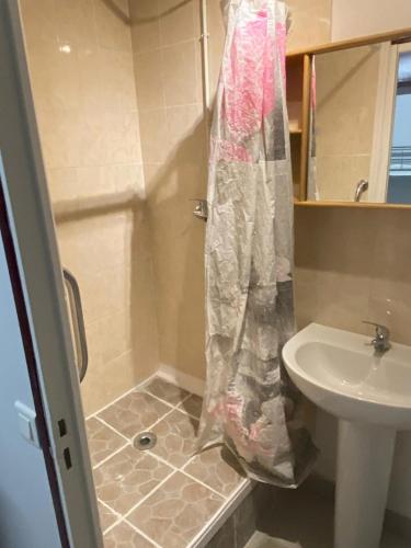 a bathroom with a shower and a sink at Le réveil des oiseaux in Saint-Michel