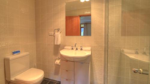 a bathroom with a sink and a toilet and a shower at Candlelight Lodge in Thredbo