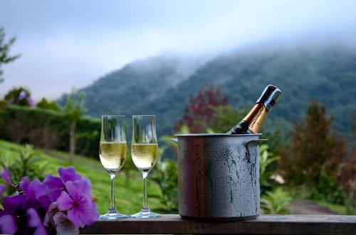 two glasses of wine and a bottle of champagne at Maua Brasil Hotelaria in Visconde De Maua
