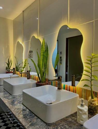 two sinks in a bathroom with plants on the wall at Isa- Hostel in Panglao Island