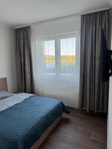 a bedroom with a bed and two windows at Lucas&Timeea in Caransebeş