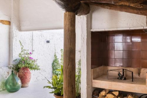 a kitchen with a counter with plants and vases at Casa Felicita in Casas de Pradas