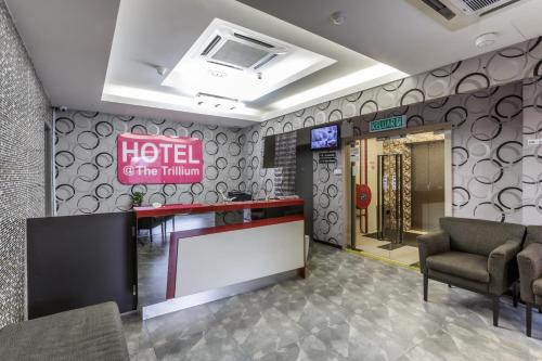 TV a/nebo společenská místnost v ubytování Hotel Trillium
