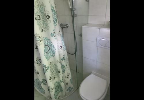 ein Badezimmer mit Duschvorhang und Toilette in der Unterkunft Grüne Au in St. Wolfgang