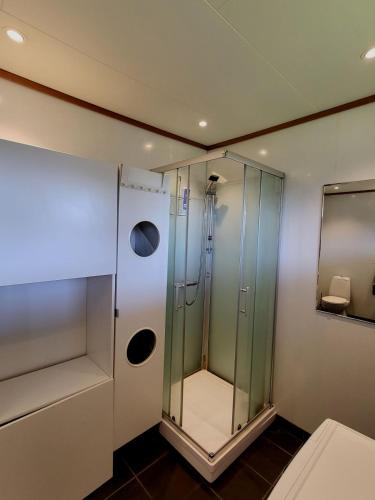 a bathroom with a shower with a glass door at Local home apartment in Stavanger in Stavanger