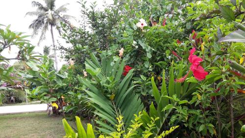Giardino di Dayspring Lodge
