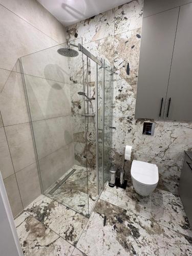 a bathroom with a glass shower and a toilet at Apartament nad jeziorem Rosnowo in Rosnowo