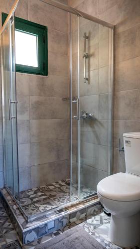 eine Dusche in einem Badezimmer mit Toilette in der Unterkunft Porto Juno in Portianón