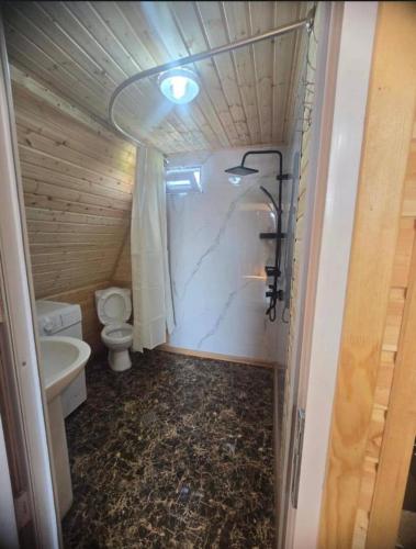 a small bathroom with a toilet and a sink at Hotel Zhara in Kobuleti