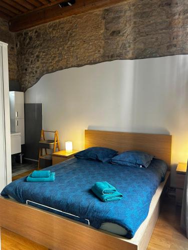 Coeur Vieux Lyon, 60 M2 lumineux tout confort photo 3
