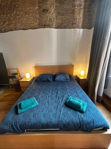Coeur Vieux Lyon, 60 M2 lumineux tout confort photo 8