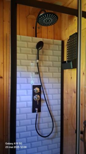 a shower in a bathroom with a wall at La cabane de Jane in Saint-Bonnet-lʼEnfantier