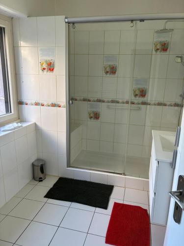 a bathroom with a shower and a red rug at Chez Albert, in Saint-Ilpize