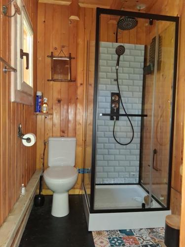 a bathroom with a toilet and a shower at La cabane de Jane in Saint-Bonnet-lʼEnfantier