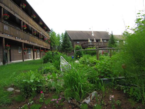 Zahrada ubytování Spring Lake Resort