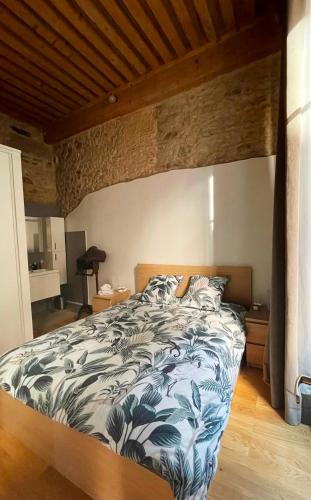 Coeur Vieux Lyon, 60 M2 lumineux tout confort photo 17
