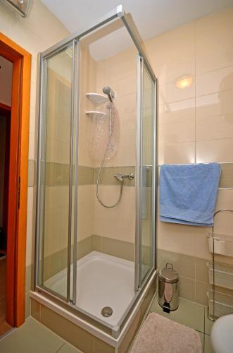 a shower with a glass door in a bathroom at Apartments Jela in Metajna