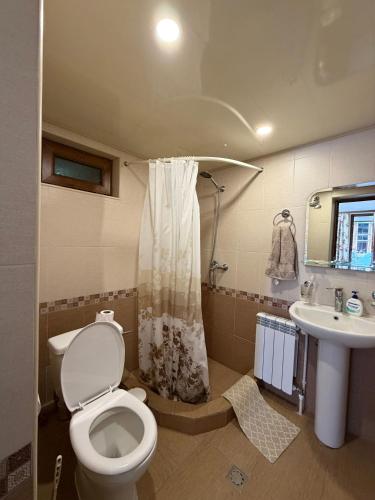 ein Badezimmer mit Toilette und Waschbecken in der Unterkunft MagHay B&B Hotel in Vanadzor in Wanadsor