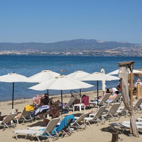 Apartman kostic Perea