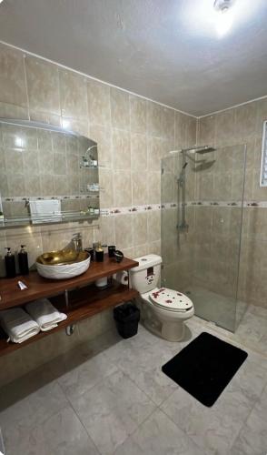a bathroom with a shower and a toilet and a sink at El rincón de Sánchez in Moca