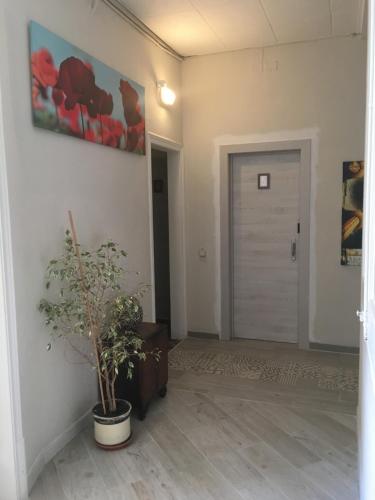 Hostal Eixample photo 118
