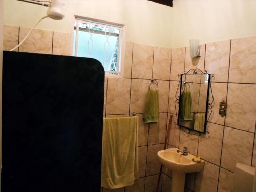 y baño con lavabo y ducha. en Pousada Vila Verde, en Tiradentes