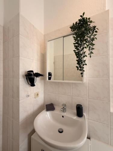 a bathroom with a sink and a mirror and a plant at Stay&Work Döbeln - Hermsdorfer Straße in Döbeln