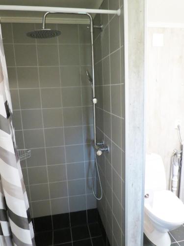 a bathroom with a shower with a toilet and a sink at Higravstinden Basecamp - Lofoten in Laupstad