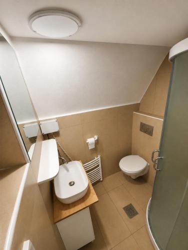 a bathroom with a sink and a toilet at Koča Rakitna Forest Chalet with Sauna in Preserje